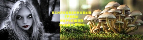 эйфоретик Белокуриха
